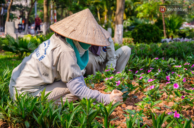 Phố Trịnh Công Sơn gấp rút hoàn thiện trước ngày trở thành không gian đi bộ thứ 2 ở Hà Nội